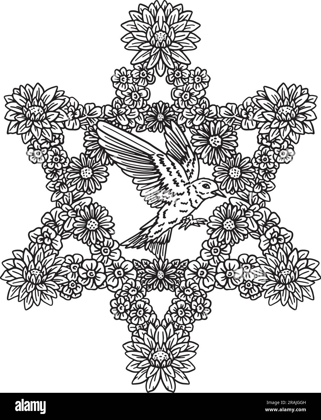 Hanukkah-Blumen, die Davids Stern bilden, isoliert Stock Vektor