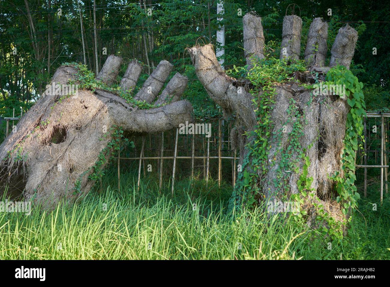 Große Hände in einem üppigen grünen Dschungel. Stockfoto