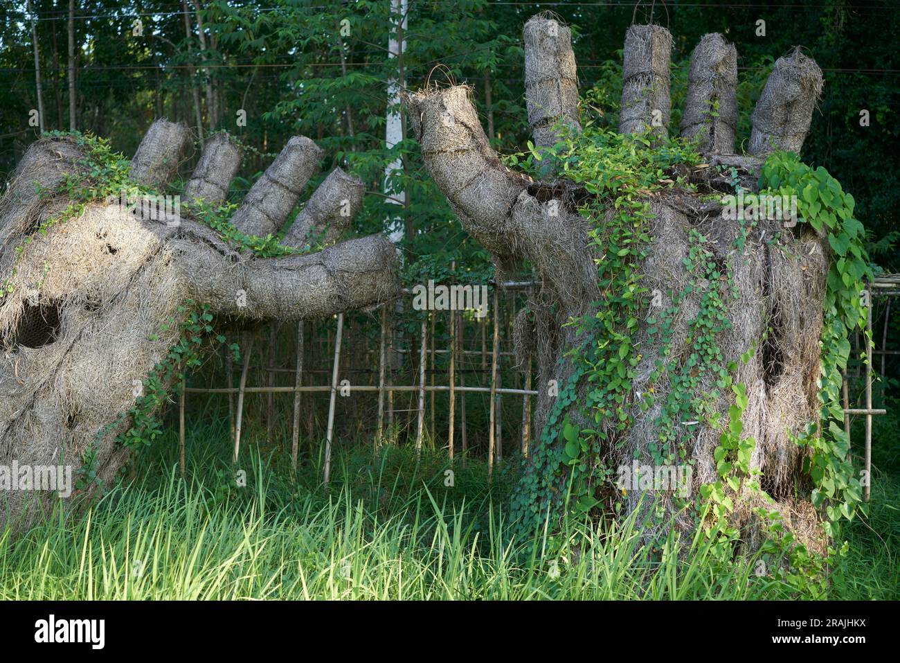 Große Hände in einem üppigen grünen Dschungel. Stockfoto