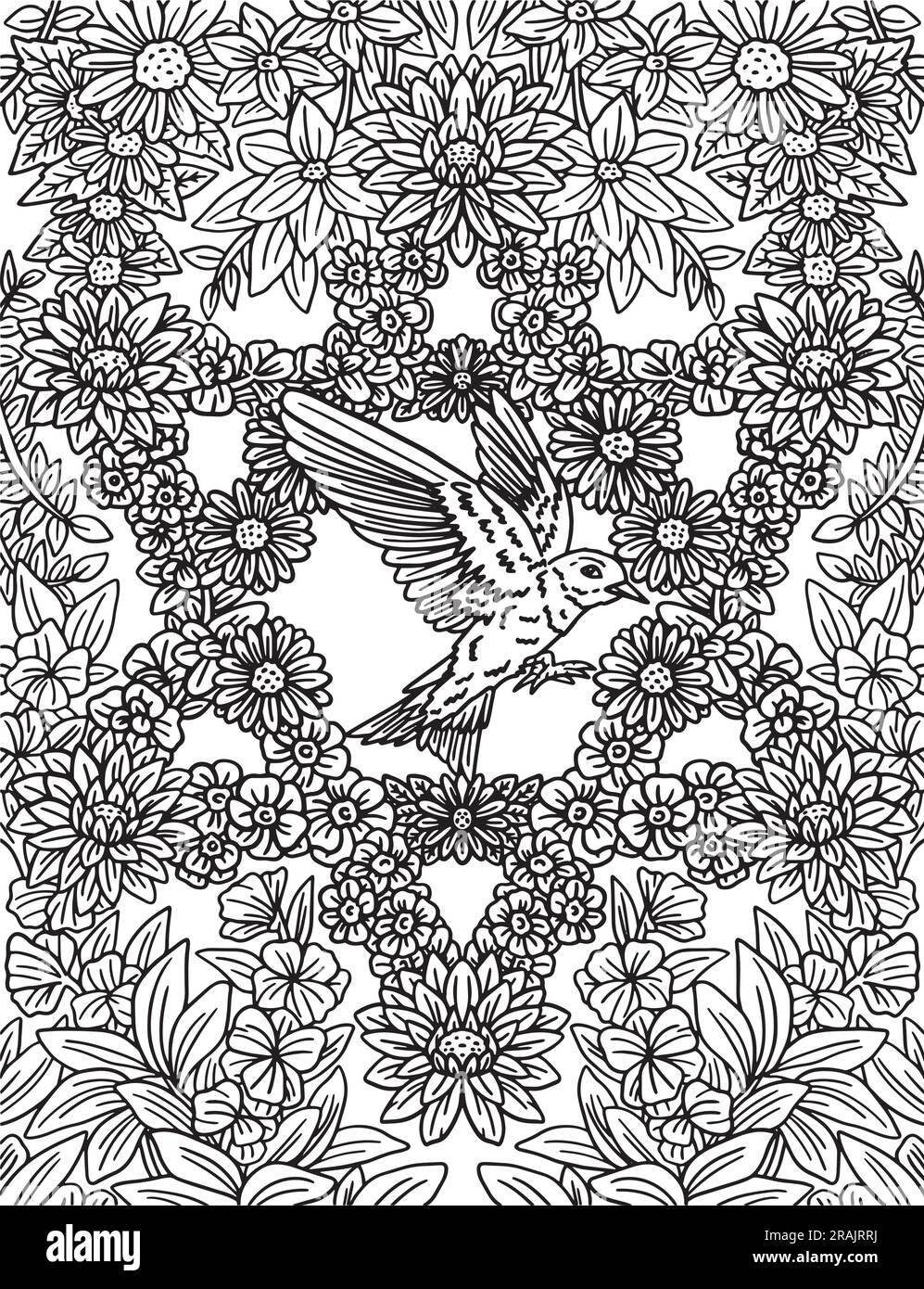 Hanukka-Blumen bilden den Stern David Erwachsener Stock Vektor