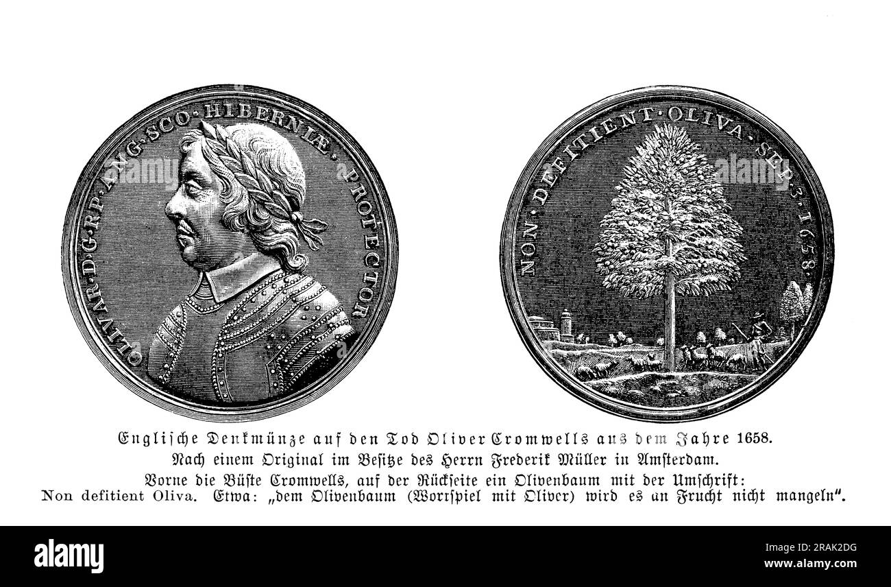 Englische Votivmedaille für den Tod von Oliver Cromwell, 1658, mit einem Olivenbaum auf der Rückseite Stockfoto