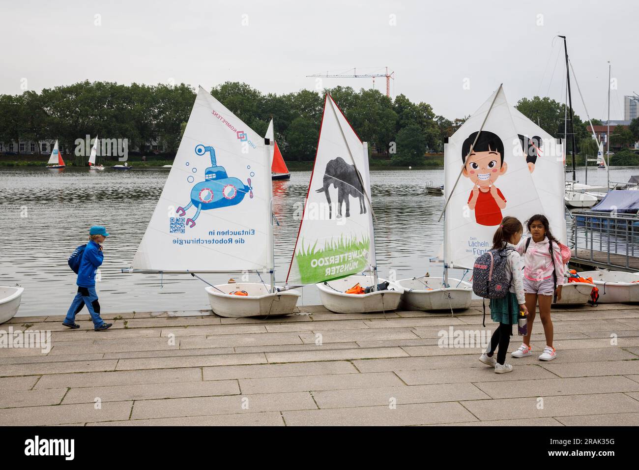 Segelboote auf dem AA-See, Münster, Nordrhein-Westfalen, Deutschland. Segelboote Optimisten am Aasee, Münster, Nordrhein-Westfalen, Deutschland. Stockfoto