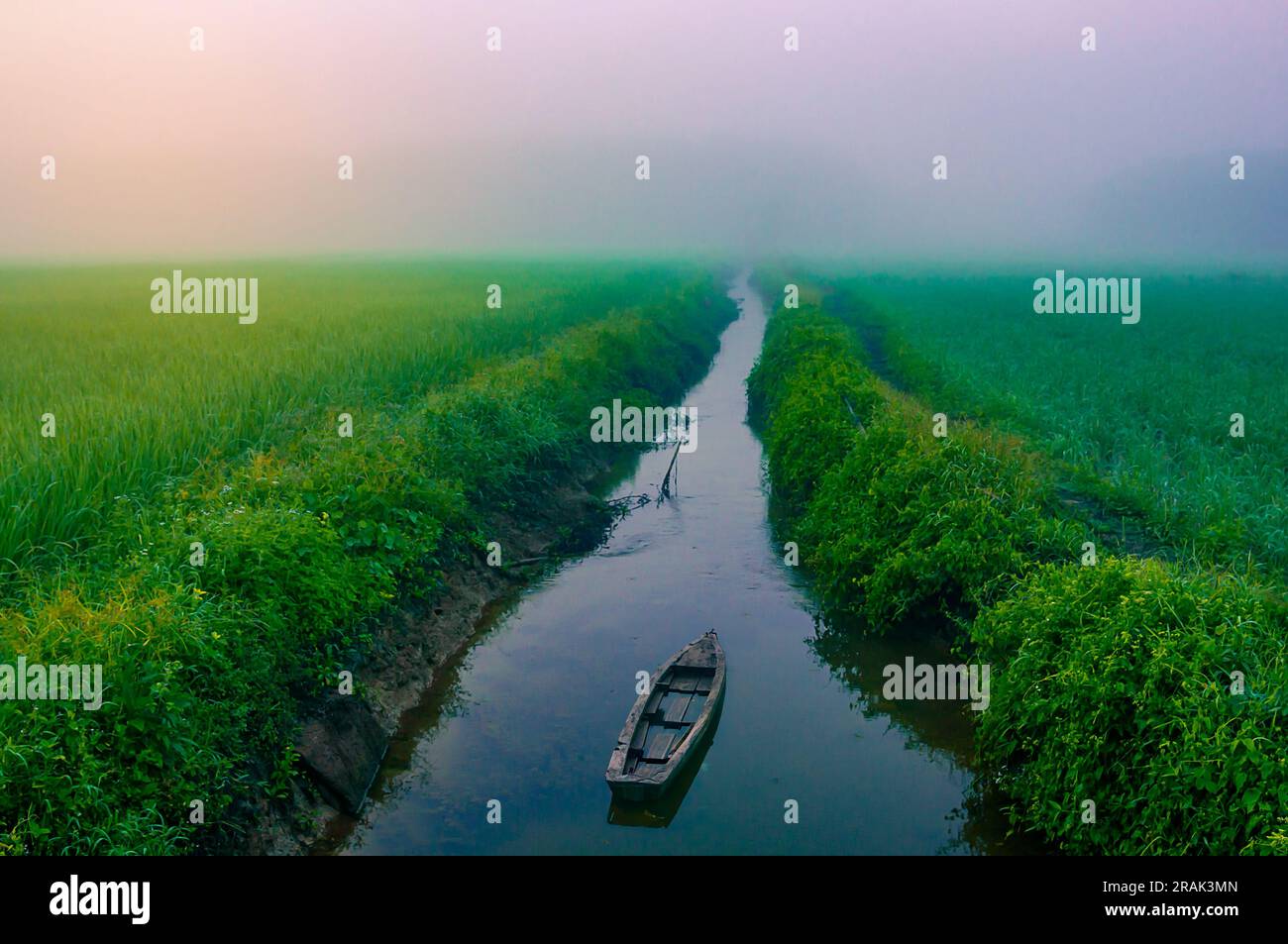 Altes Boot mit Reisfeld mit Fluss und Nebel im Morgenlicht, friedliche und erfrischende ländliche Lage Stockfoto