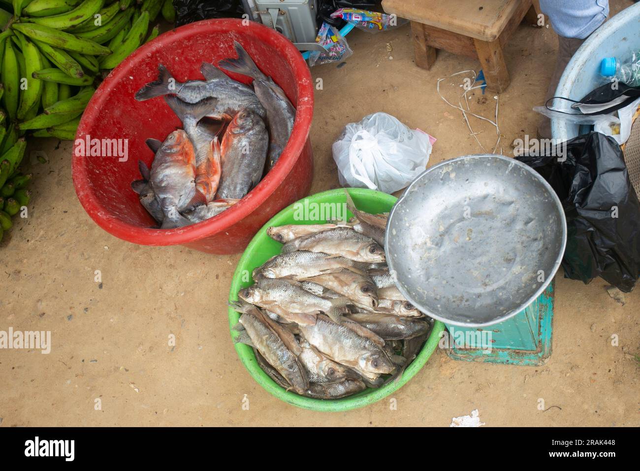 Fischstand auf einem Markt in der Stadt Yurimaguas im peruanischen Dschungel. Stockfoto