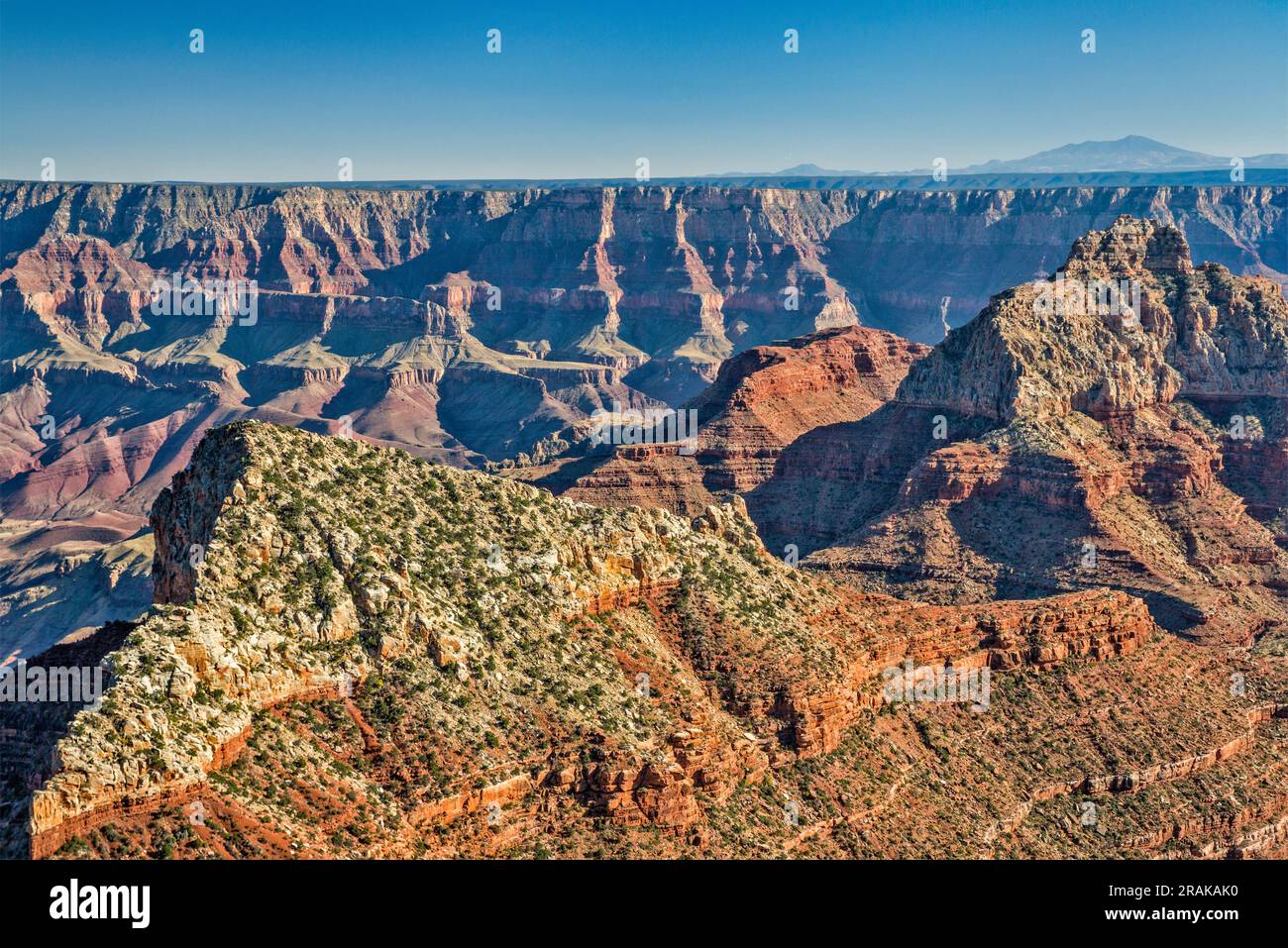 Freya Castle und Vishnu Tempel, Südrand und San Francisco Peaks in Far dist, Cape Royal Point am Nordrand, Grand Canyon Natl Park, Arizona, USA Stockfoto