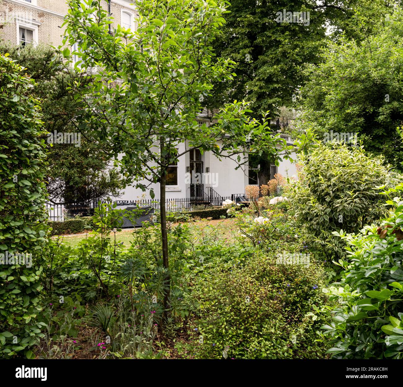 Onslow Gardens, South Kensington, London, Großbritannien; ein typischer verschlossener Gemeinschaftsgarten für wohlhabende Bewohner Stockfoto
