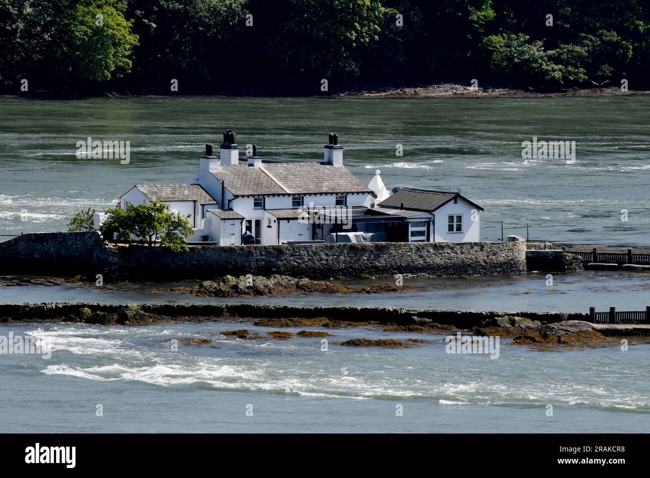 Ynys aufspießen Goch, rot Wehr Whitebait Insel, in der Menai Straits Stockfoto