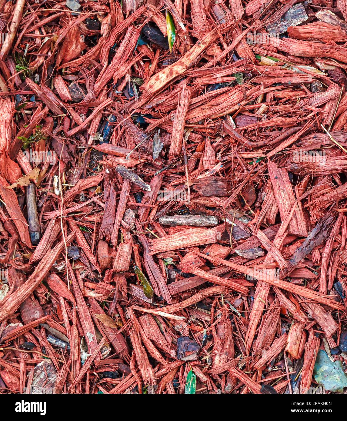 Rot gefärbte Holzmulch gehackte Rindensplitter-Textur Stockfoto