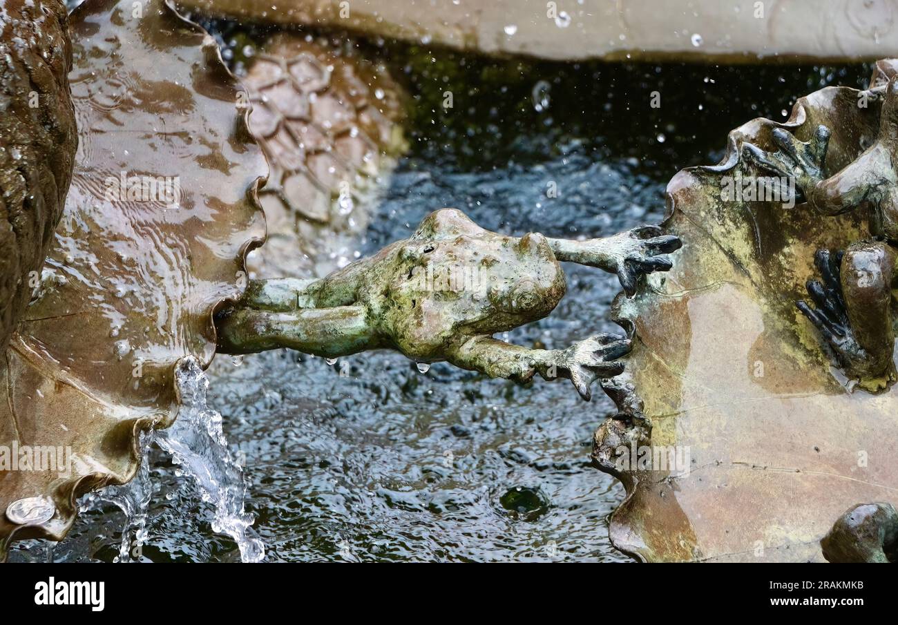 Nahaufnahme eines Frosches am Brunnen namens Andrea von Ruth Asawa aus dem Jahr 1968 am Ghirardelli Square San Francisco California USA Stockfoto
