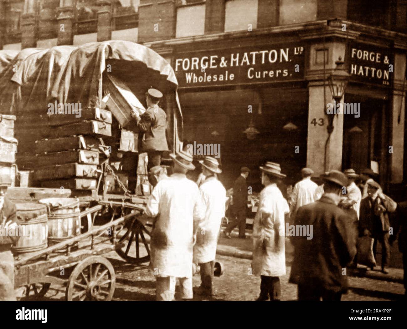 Forge und Hatton, Großhandel mit Fischcurers, Billingsgate Market, London, viktorianische Zeit Stockfoto