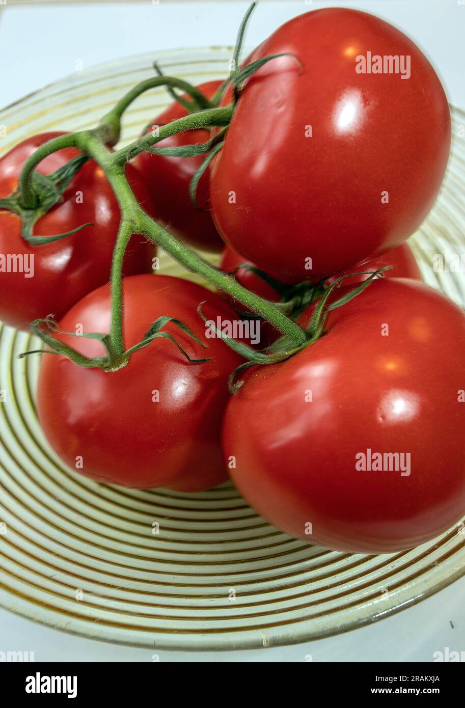 Frische Tomaten Stockfoto