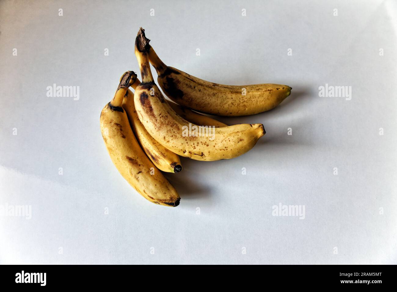 Reife türkische Hybridbananen mit neutralem Hintergrund Stockfoto