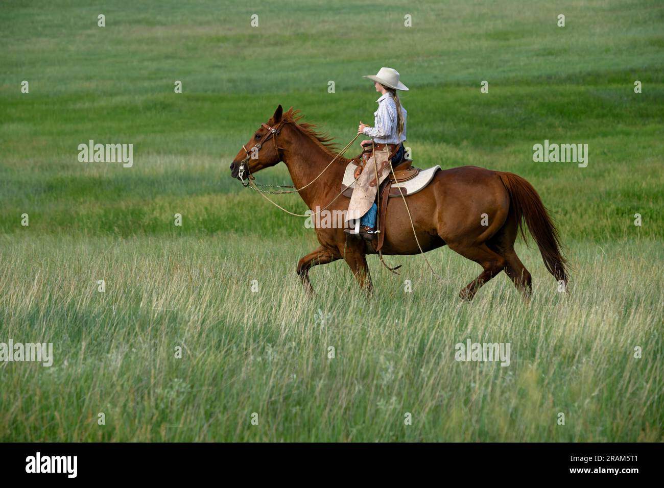 Ada Dennis reitet ein Pferd auf der Dennis Ranch, Red Owl, South Dakota. Stockfoto