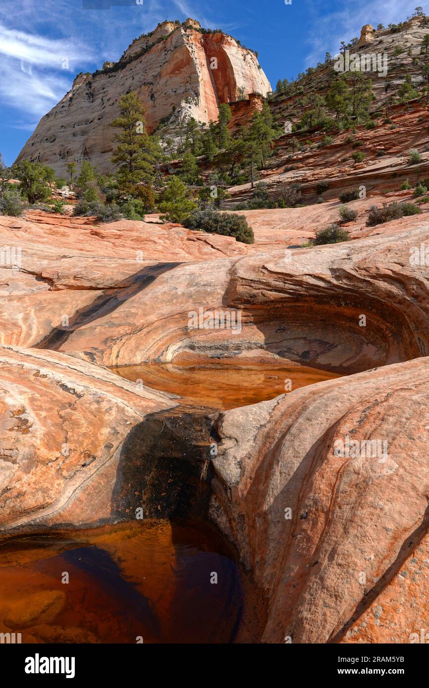 Pools und Felsformationen im Zion-Nationalpark Stockfoto