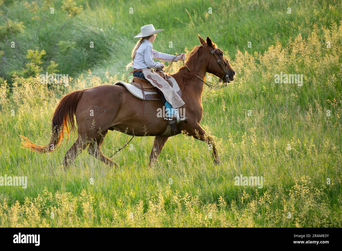 Cowhand Ada reitet auf der Weide von Dennis Ranch, Red Owl, South Dakota. Stockfoto