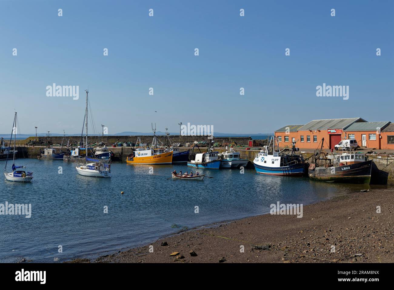 Fünf Personen rudern mit einem Boot in Richtung der Küste im Hafen von Port Seton, in der Nähe der Anlegestelle für Fischerboote an einem sonnigen Tag im Juni. Stockfoto