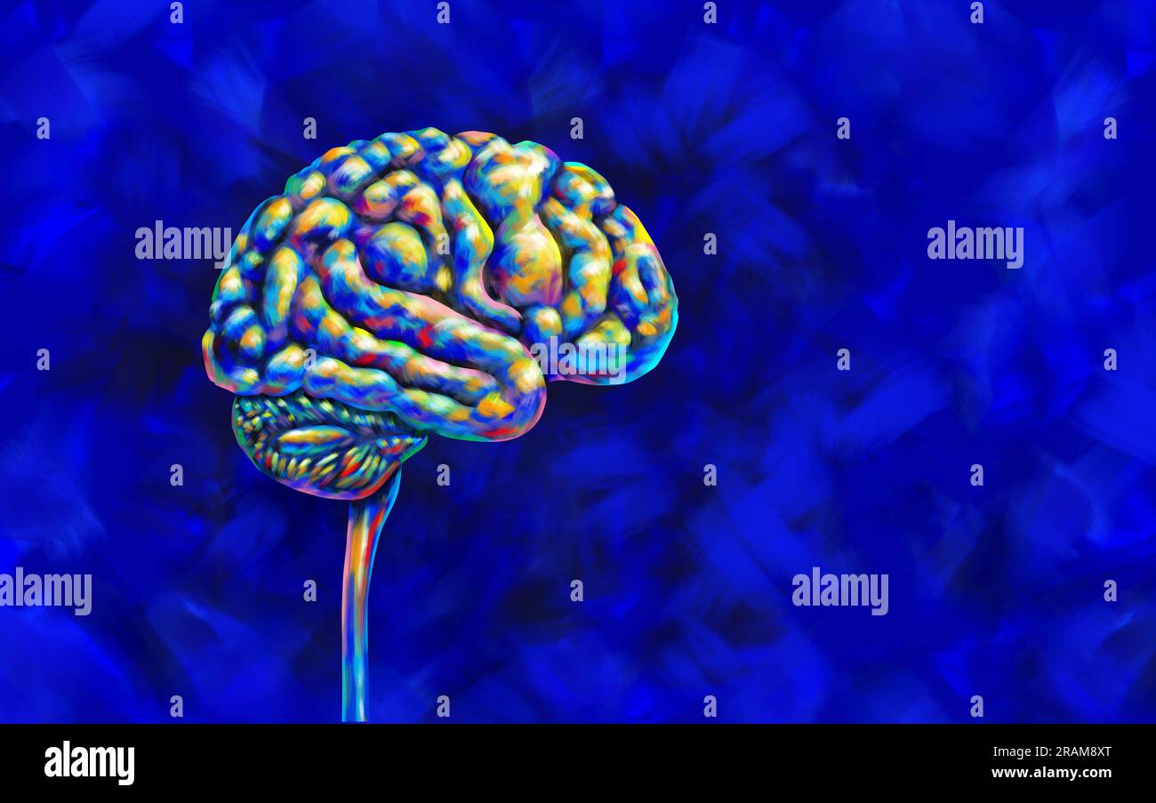 Menschliches Gehirn und Psychologie oder Psychiatrie als psychische Gesundheit und Neurowissenschaft kognitives Verhalten und Emotionen Bewusstsein als Geisteswahrnehmung Stockfoto