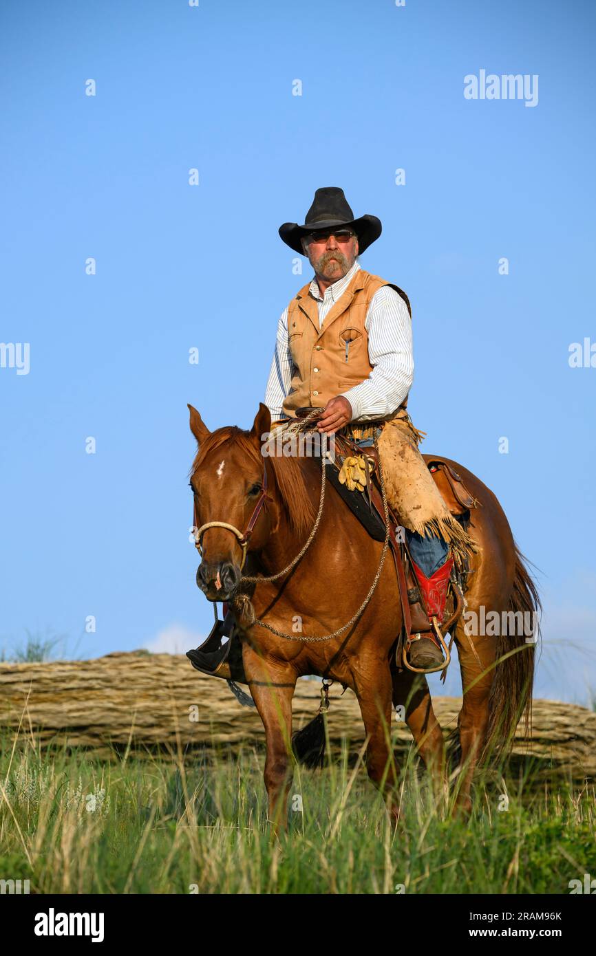 Robert Dennis von der Dennis Ranch in Red Owl, South Dakota. Stockfoto