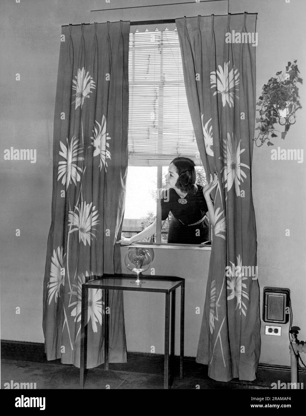 USA: 2. August 1938 Eine junge Hausfrau lehnt sich durch das Fenster, um die Vorhänge zu sehen, die sie gerade gemacht und in ihrem Wohnzimmer aufgehängt hat. Stockfoto