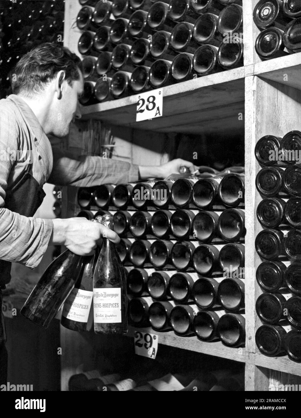 St. Moritz, Schweiz: ca. 1948. Ein Mitarbeiter im Palace Hotel in St. Moritz holt Flaschen Wein aus seinem Weinkeller. Stockfoto