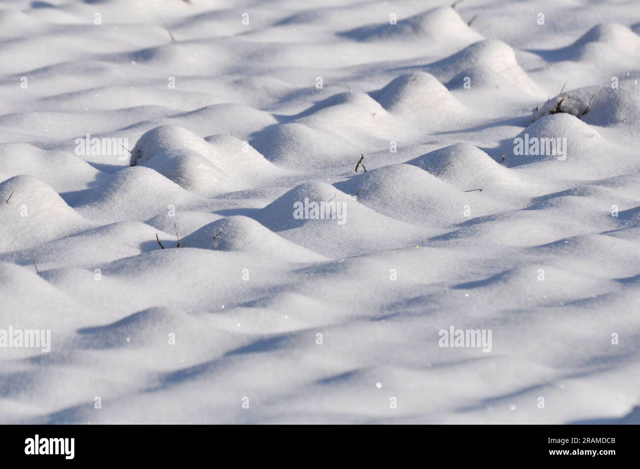 Winterlandschaft mit Schatten nach dem ersten Schneefall Stockfoto