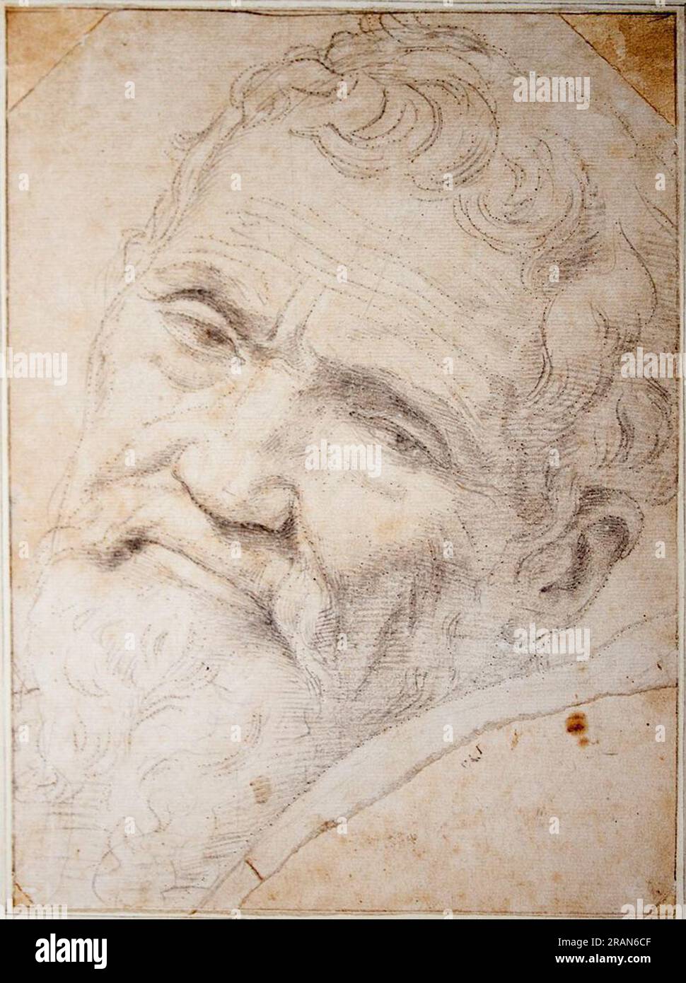 Porträt von Michelangelo Buonarroti 1555 von Daniele da Volterra Stockfoto