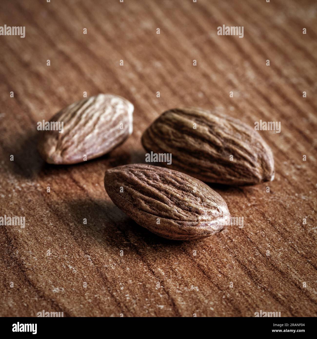 Braune Nüsse auf dem Küchentisch in Nahaufnahme. Stockfoto