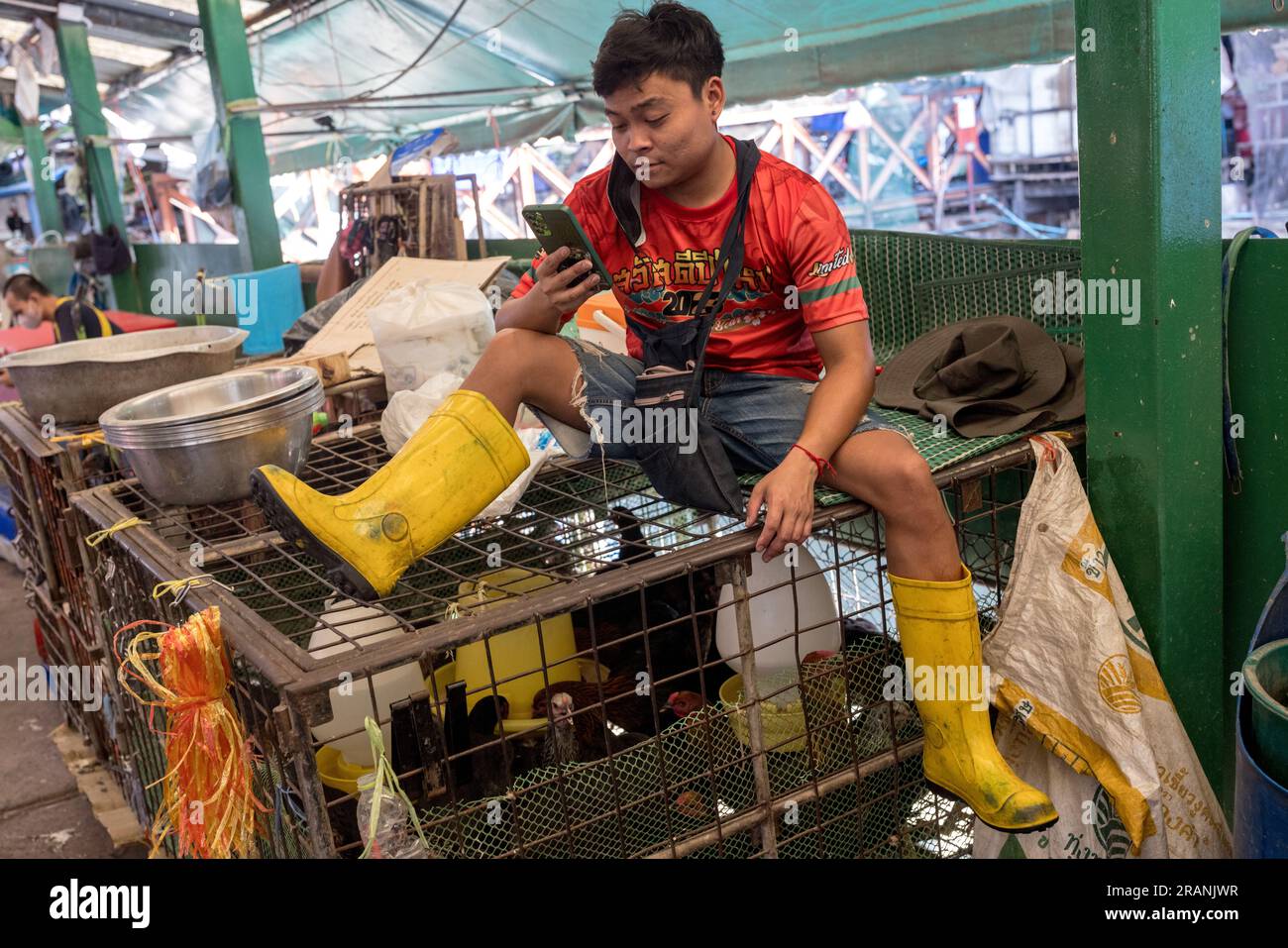 Am 22. Februar 2023 sitzt ein Marktarbeiter mit seinem Handy auf einem Käfig mit Geflügeltieren auf dem Khlong Toei Market in Bangkok, Thailand. Stockfoto