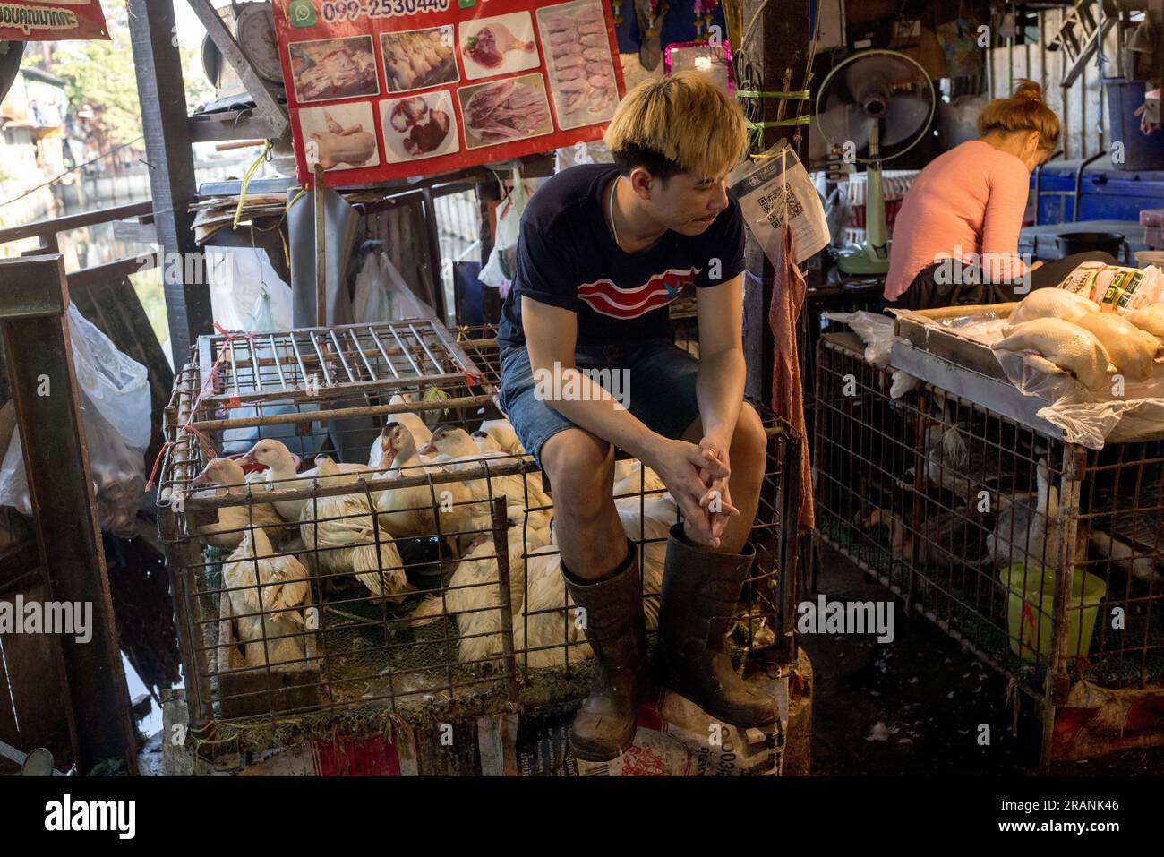 Ein Marktarbeiter sitzt am 22. Februar 2023 auf einem Käfig mit Geflügeltieren auf dem Khlong Toei Market in Bangkok Thailand. Stockfoto