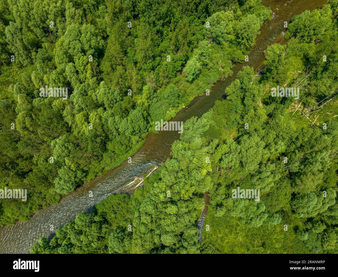 Luftaufnahme des Flusses Noguera de Tor im Boí-Tal am Llesp-Reservoir (Alta Ribagorcka, Lleida, Katalonien, Spanien, Pyrenäen) Stockfoto