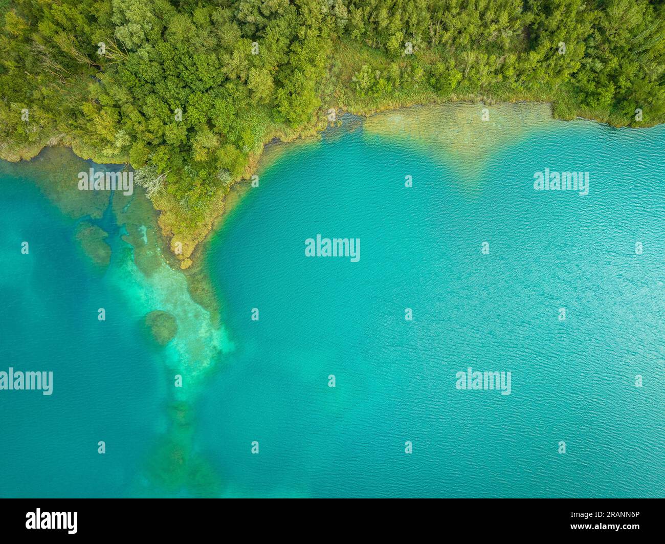 Blick aus der Vogelperspektive auf den See Estany de Banyoles, den Wald am Flussufer und Unterwasserdetails (Pla de l'Estany, Girona Catalonia) Stockfoto