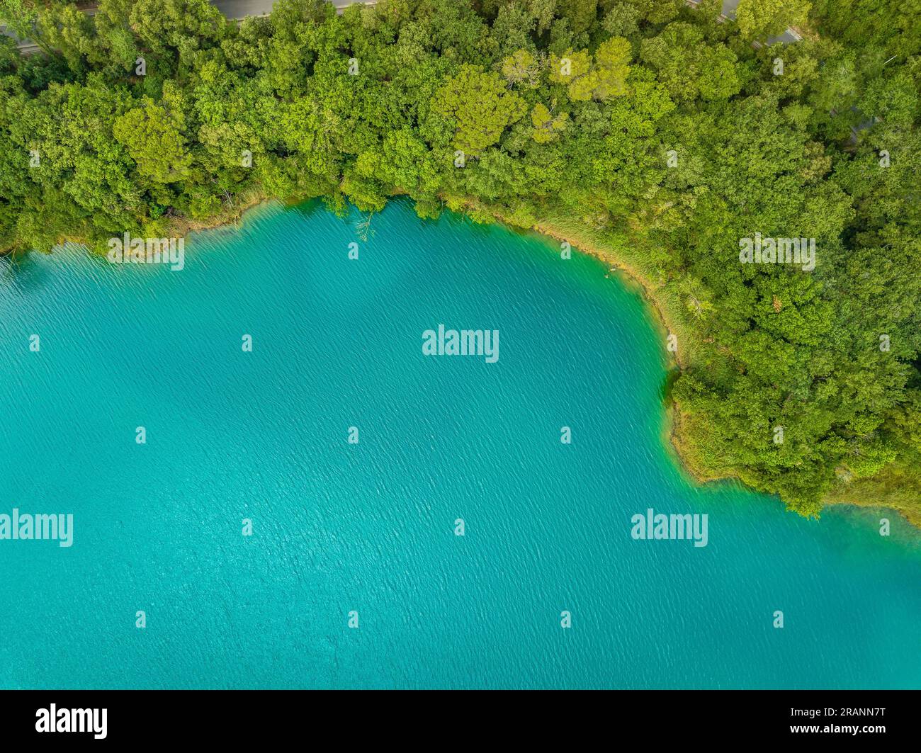 Blick aus der Vogelperspektive auf den See Estany de Banyoles, den Wald am Flussufer und Unterwasserdetails (Pla de l'Estany, Girona Catalonia) Stockfoto