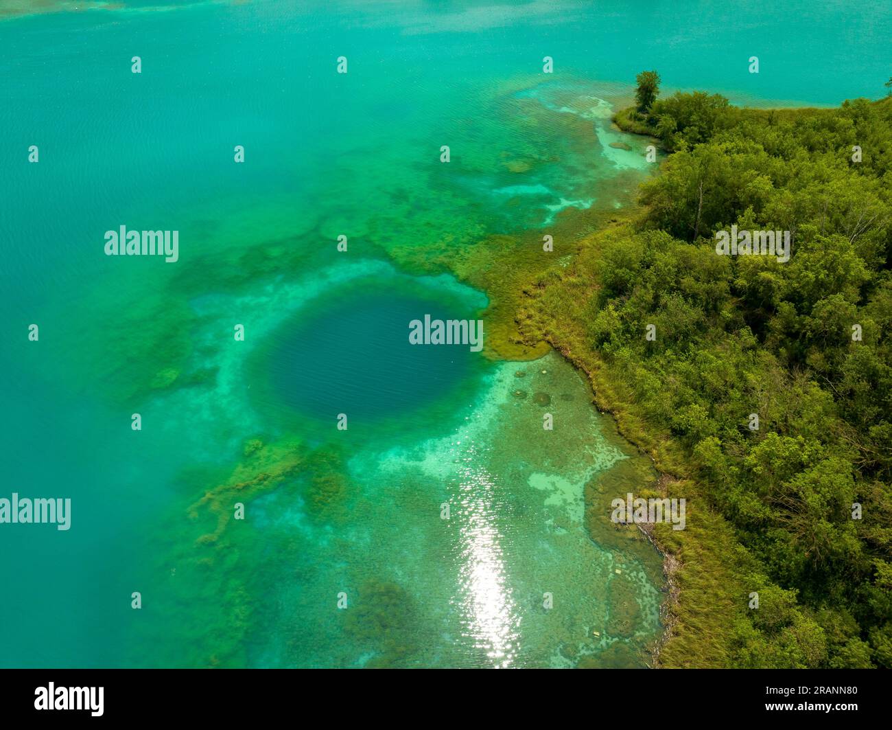 Blick aus der Vogelperspektive auf den See Estany de Banyoles, den Wald am Flussufer und Unterwasserdetails (Pla de l'Estany, Girona Catalonia) Stockfoto