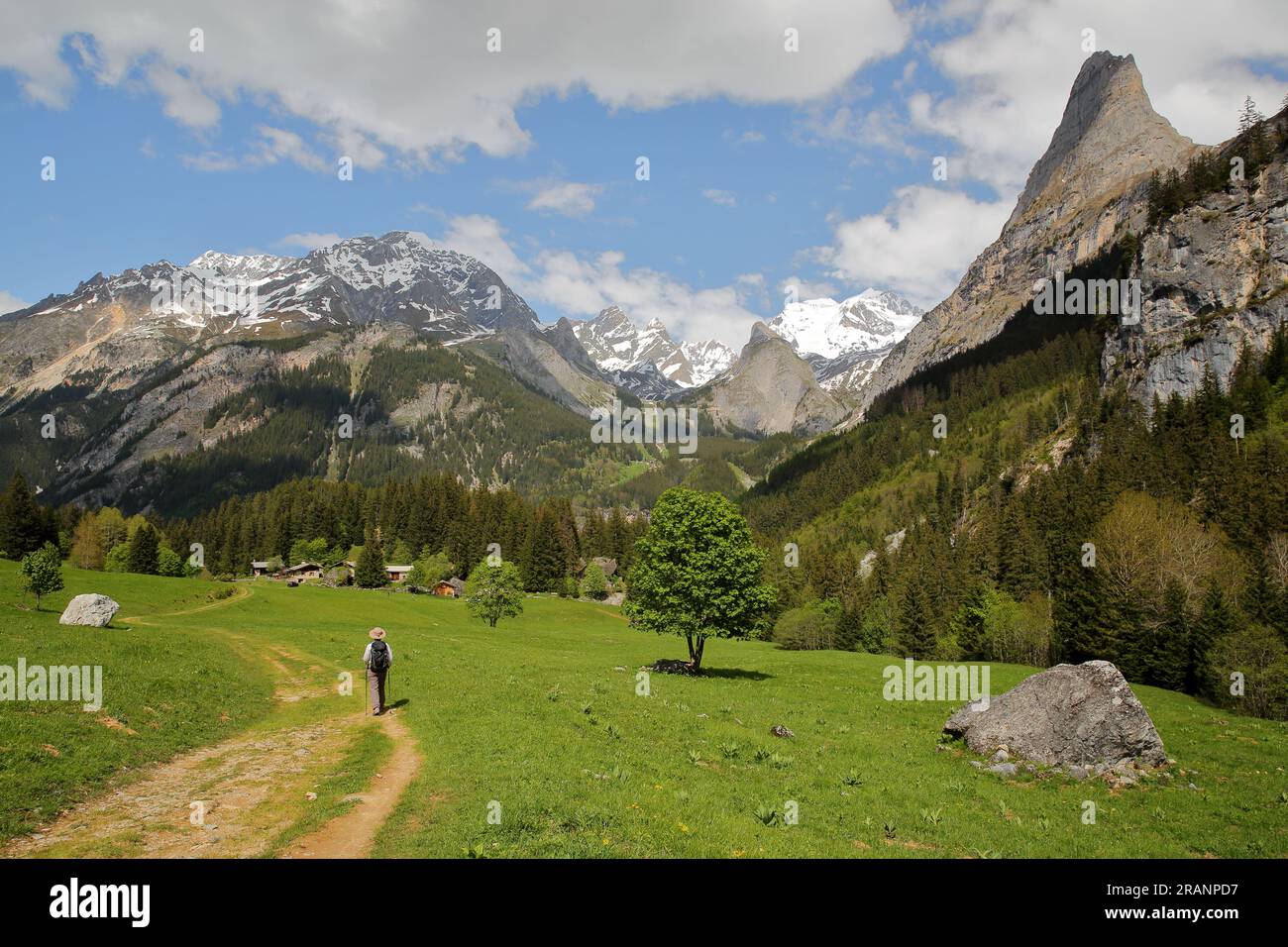 Die Gipfel (Grande Casse) über Pralognan la Vanoise, dem Nationalpark Vanoise, den nördlichen französischen Alpen, Tarentaise, Savoie, Frankreich Stockfoto