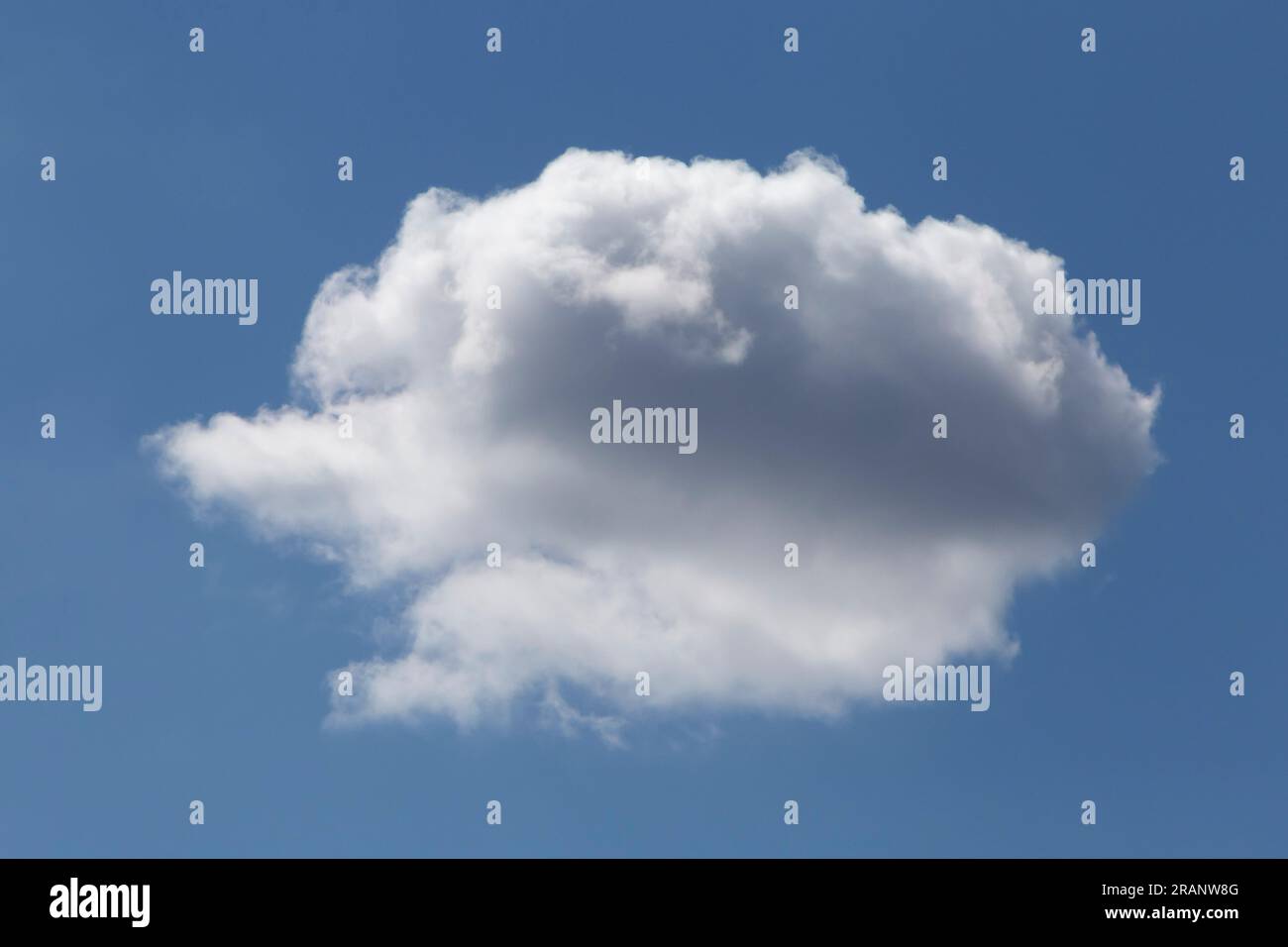 Nahaufnahme einer weißen, flauschigen Wolke am blauen Himmel Stockfoto