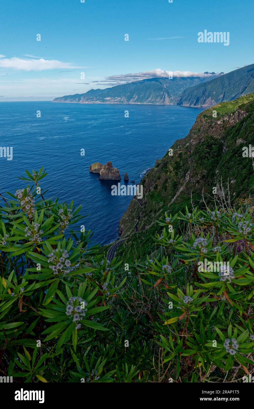 Blick auf die Klippen auf Madeira Island auf der Nordseite Stockfoto