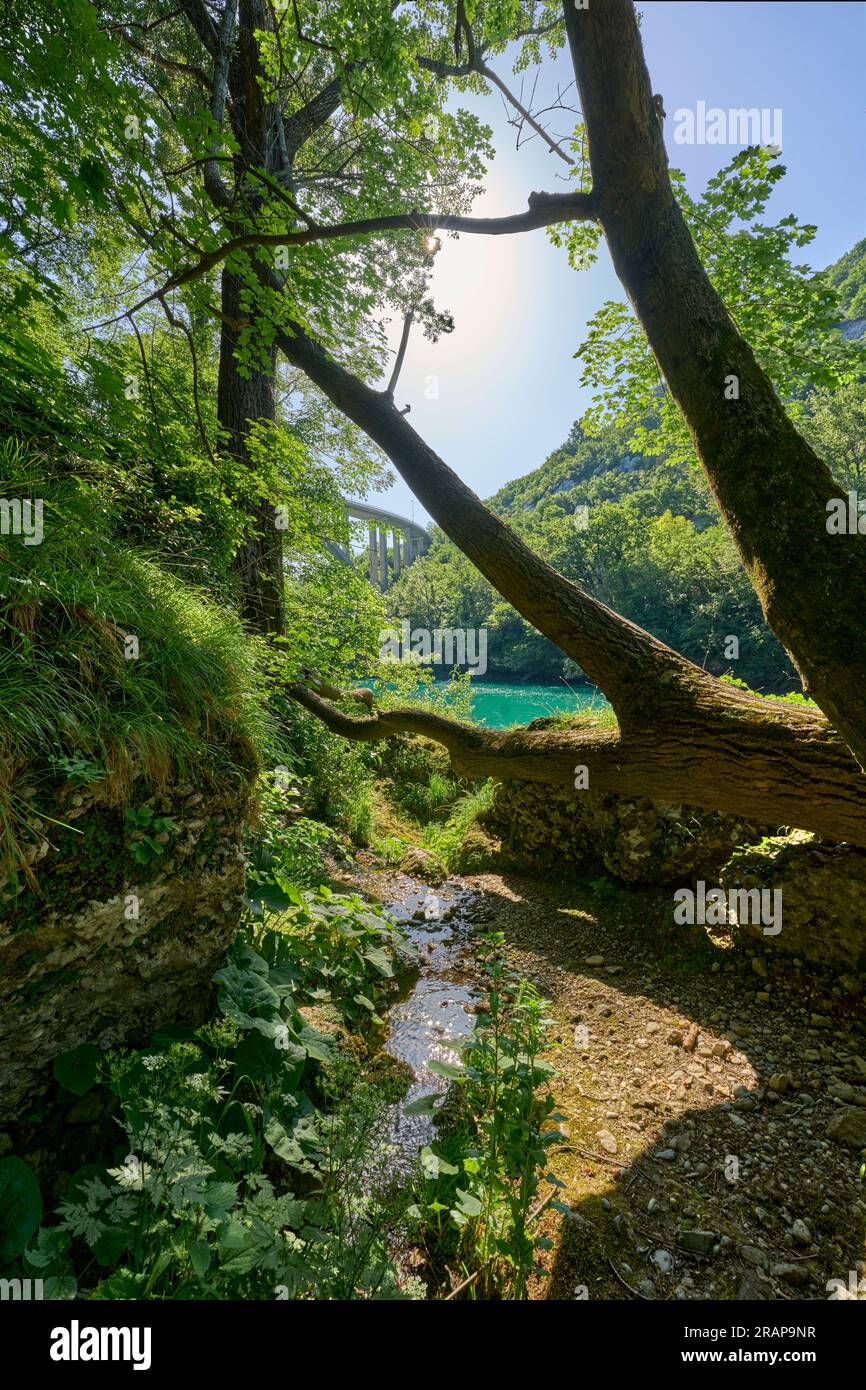 Wilder Canyon mit kristallklarem türkisfarbenem Wasser im Soca-Tal, Trigalv-Nationalpark bei Bovec, Slowenien Stockfoto