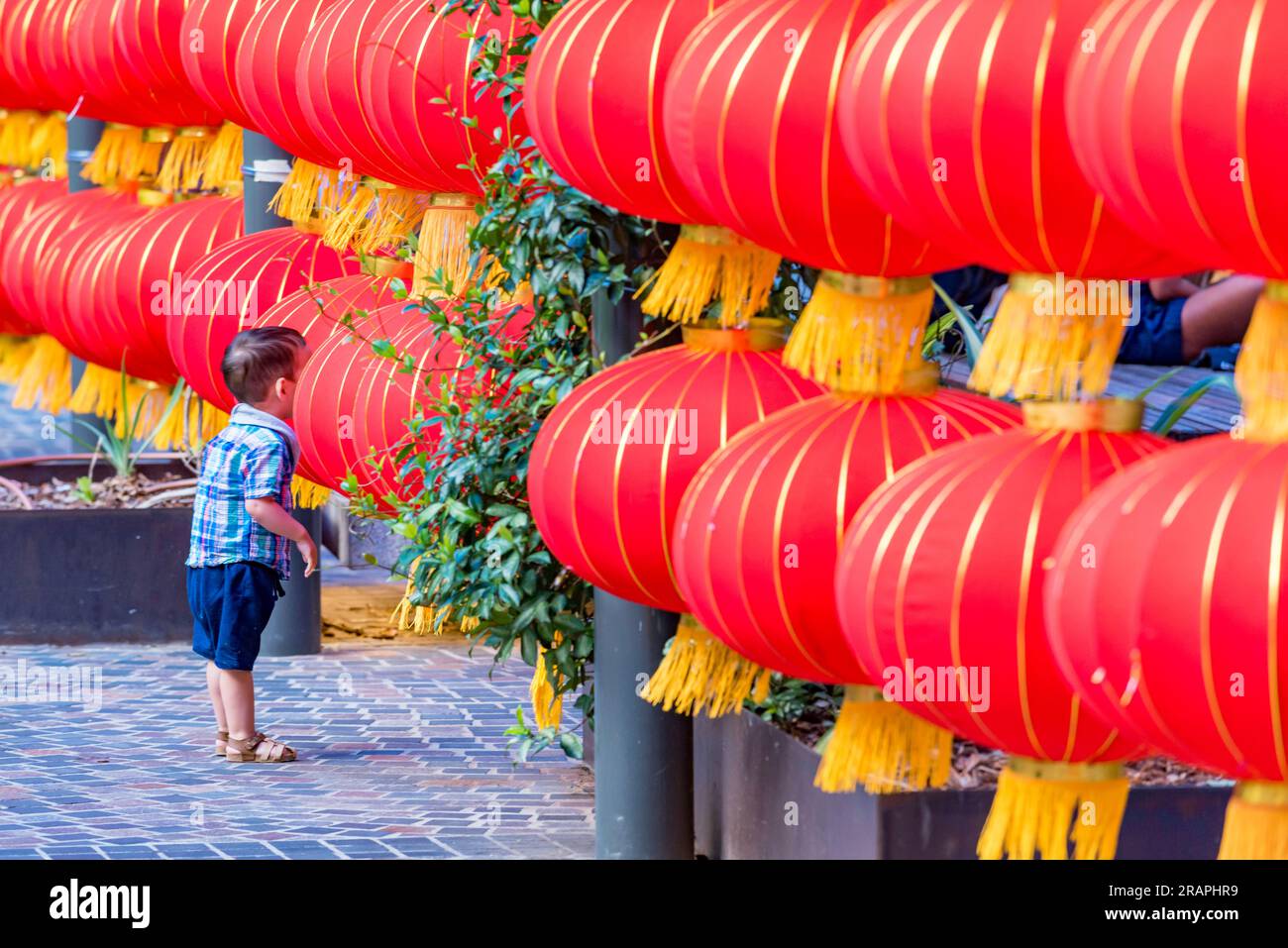 Ein junger asiatischer Junge schaut sich während des Mondneujahrs im Darling Quarter in Sydney in Australien zwischen roten chinesischen Laternen um Stockfoto