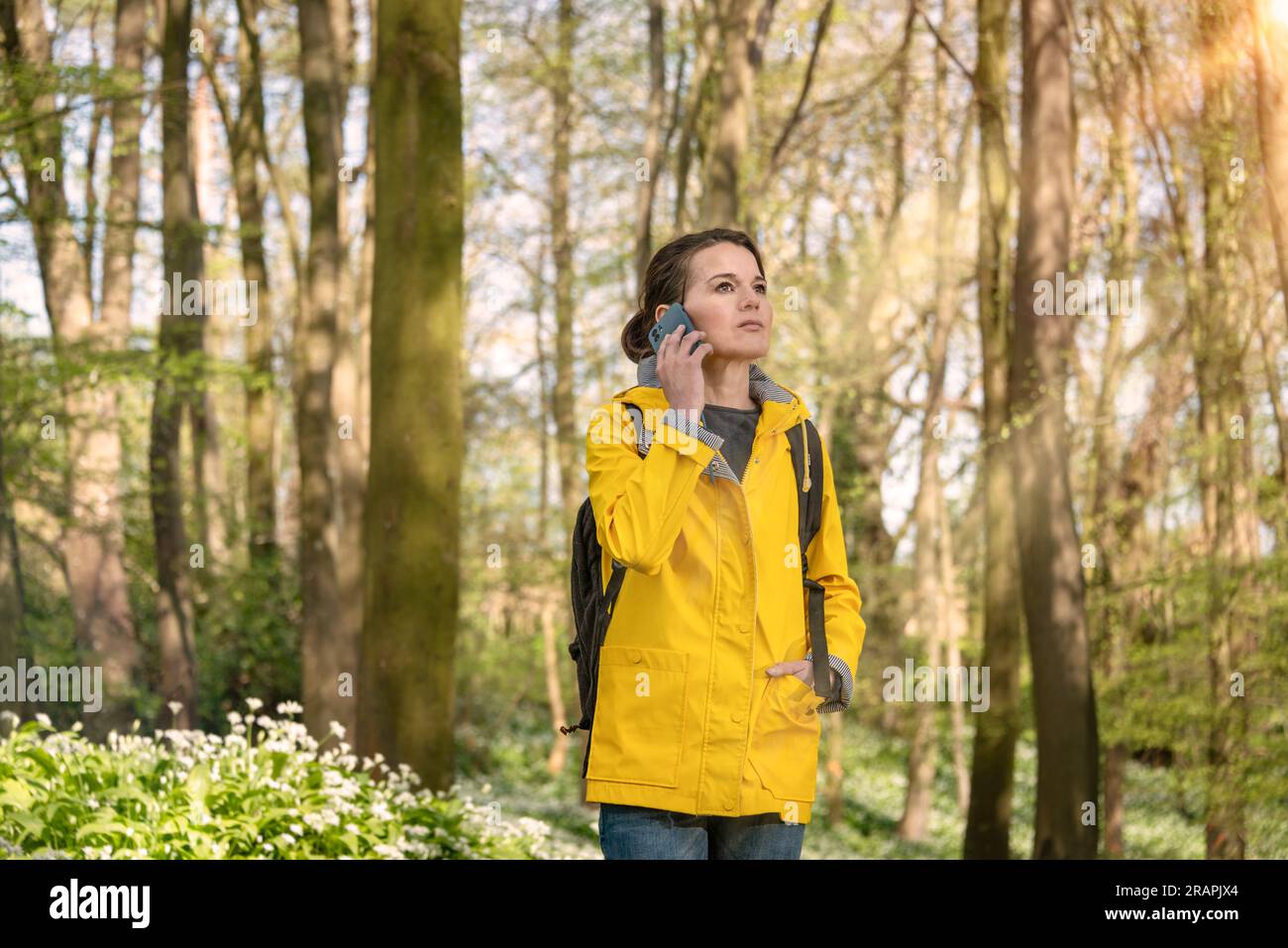 Eine Frau, die ihr Handy im Wald benutzt. Verloren gegangen oder Hilfe gerufen. Stockfoto