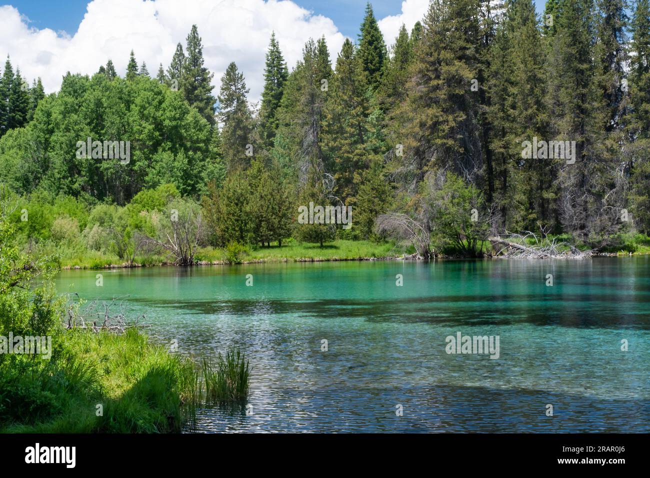Wunderschöner See aus blauem, kristallklarem Wasser, umgeben von Wäldern im Kimball State Park in Oregon. Stockfoto