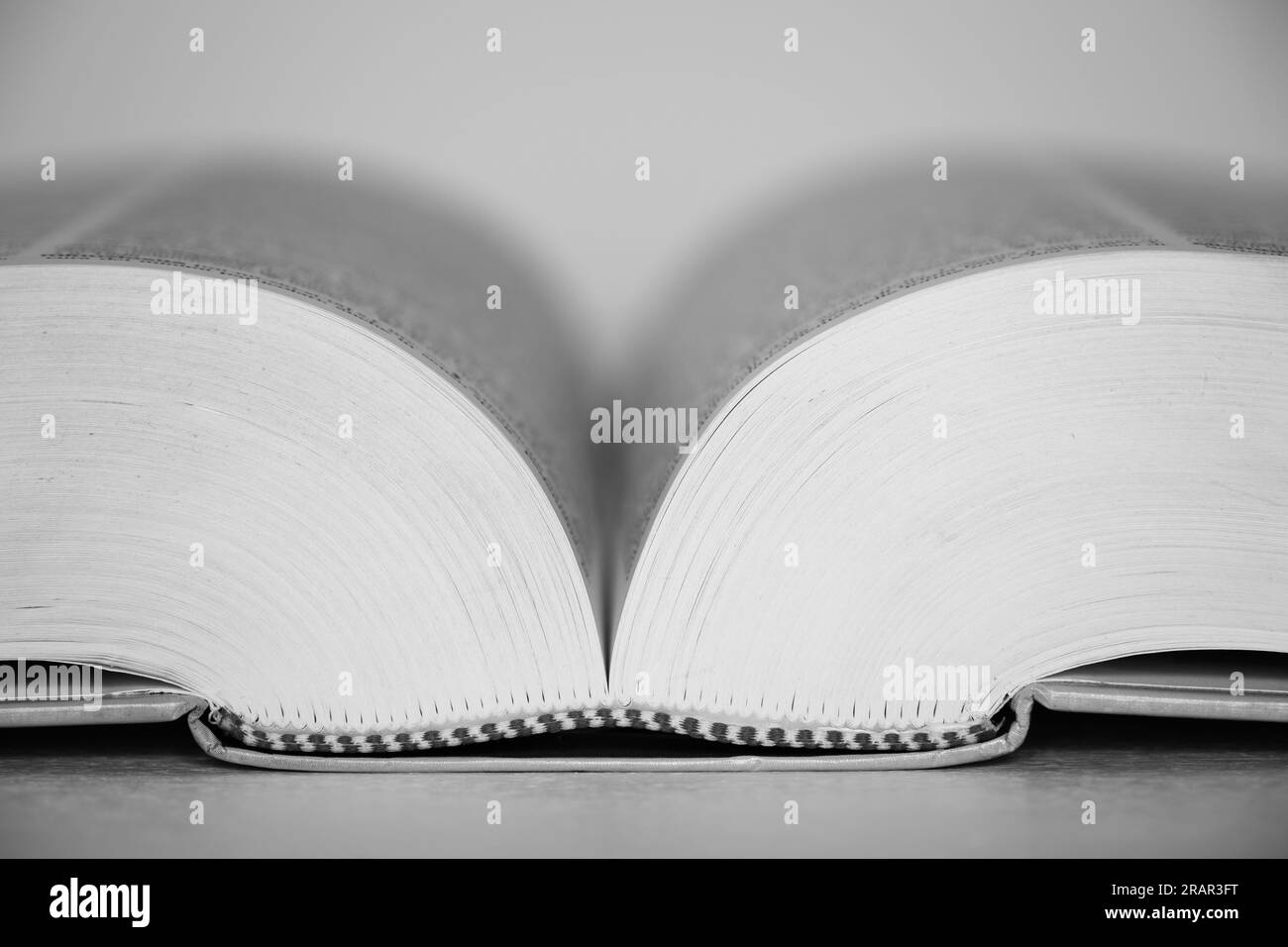 Umriss eines großen Wörterbuchs mit Tausenden von Seiten, Schwarzweißbild. Stockfoto