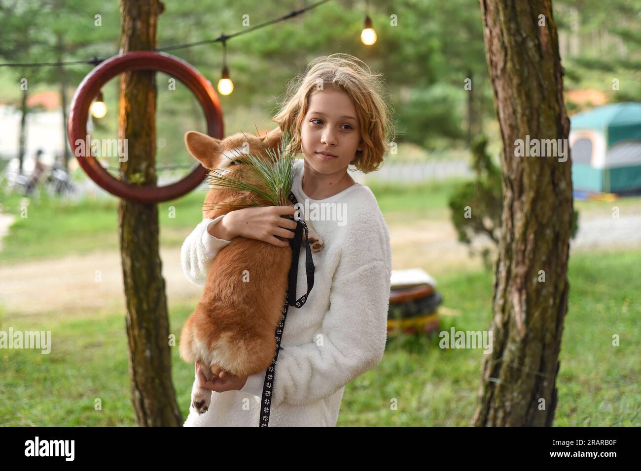 Ein süßes Mädchen hält ihren Corgi-Hund an einem Herbsttag Stockfoto