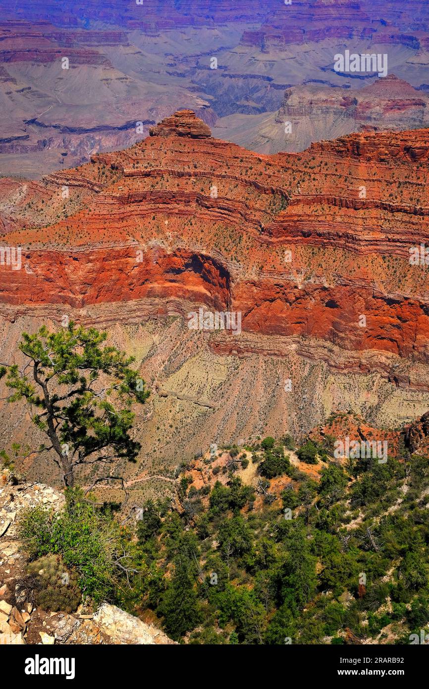 Der Grand Canyon in Arizona in den USA bietet einen atemberaubenden Blick auf die roten Felsen und Felsenklippen Stockfoto