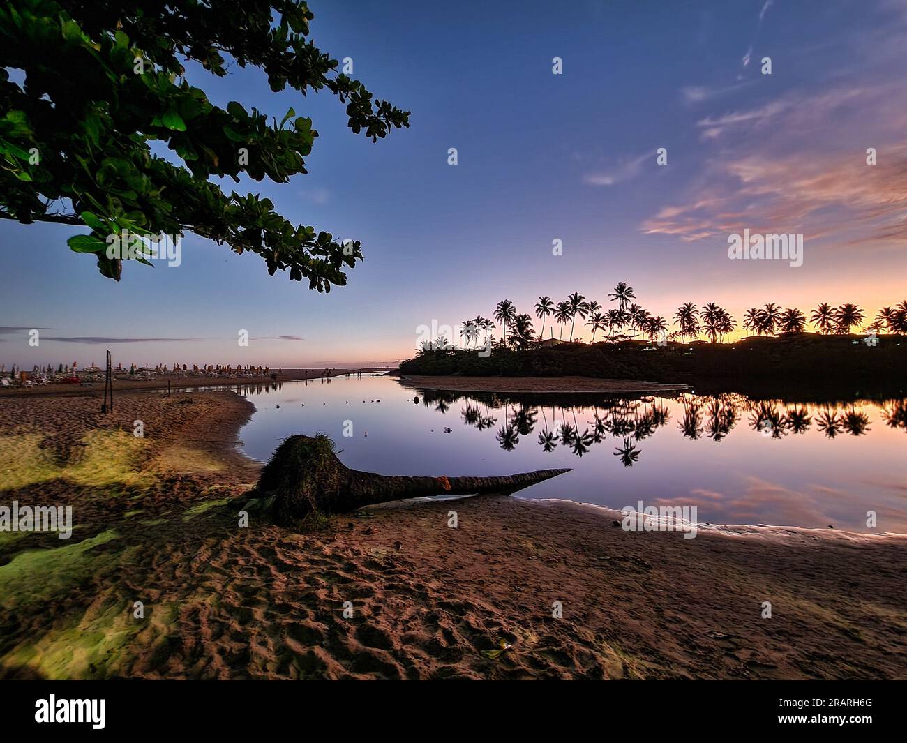 Wunderschöner Strand von Imbassai mit Palmen bei Sonnenuntergang, Bundesstaat Bahia in Brasilien. Stockfoto