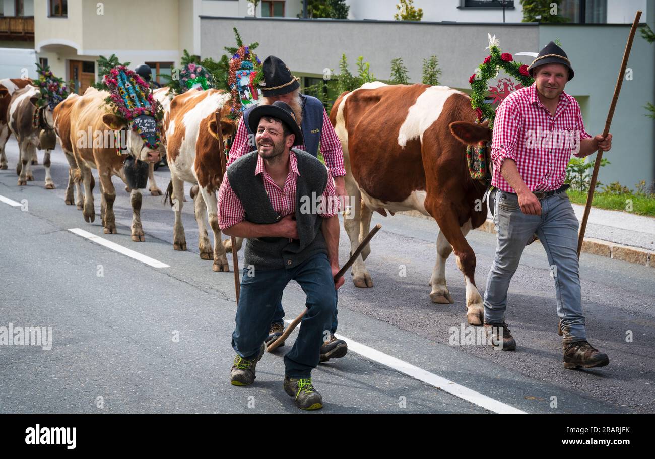 Oberau, Wildschönau, Österreich - 24. September 2022: "Almabtrieb", traditionell bekleidete Bauern, die mit dekorierten Kühen von der Alpen in das Tal zurückkehren; Stockfoto
