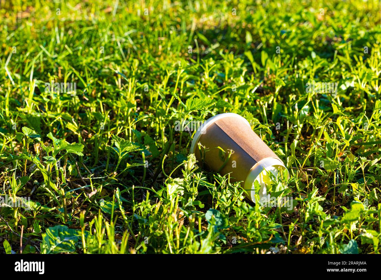 Ein Pappbecher liegt im grünen Gras. Gebrauchter Einwegbecher. Umweltverschmutzung Stockfoto