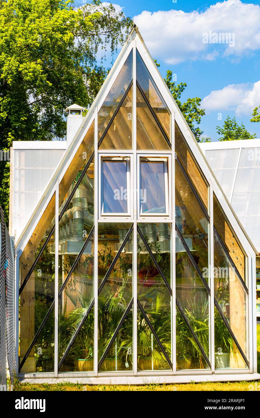 Gewächshaus aus Glas für den Anbau frischer Blumen. Gewächshaus - ein Anbau oder Gebäude für den Anbau von Pflanzen, ein künstliches Ökosystem. Hohe Qualität p Stockfotografie