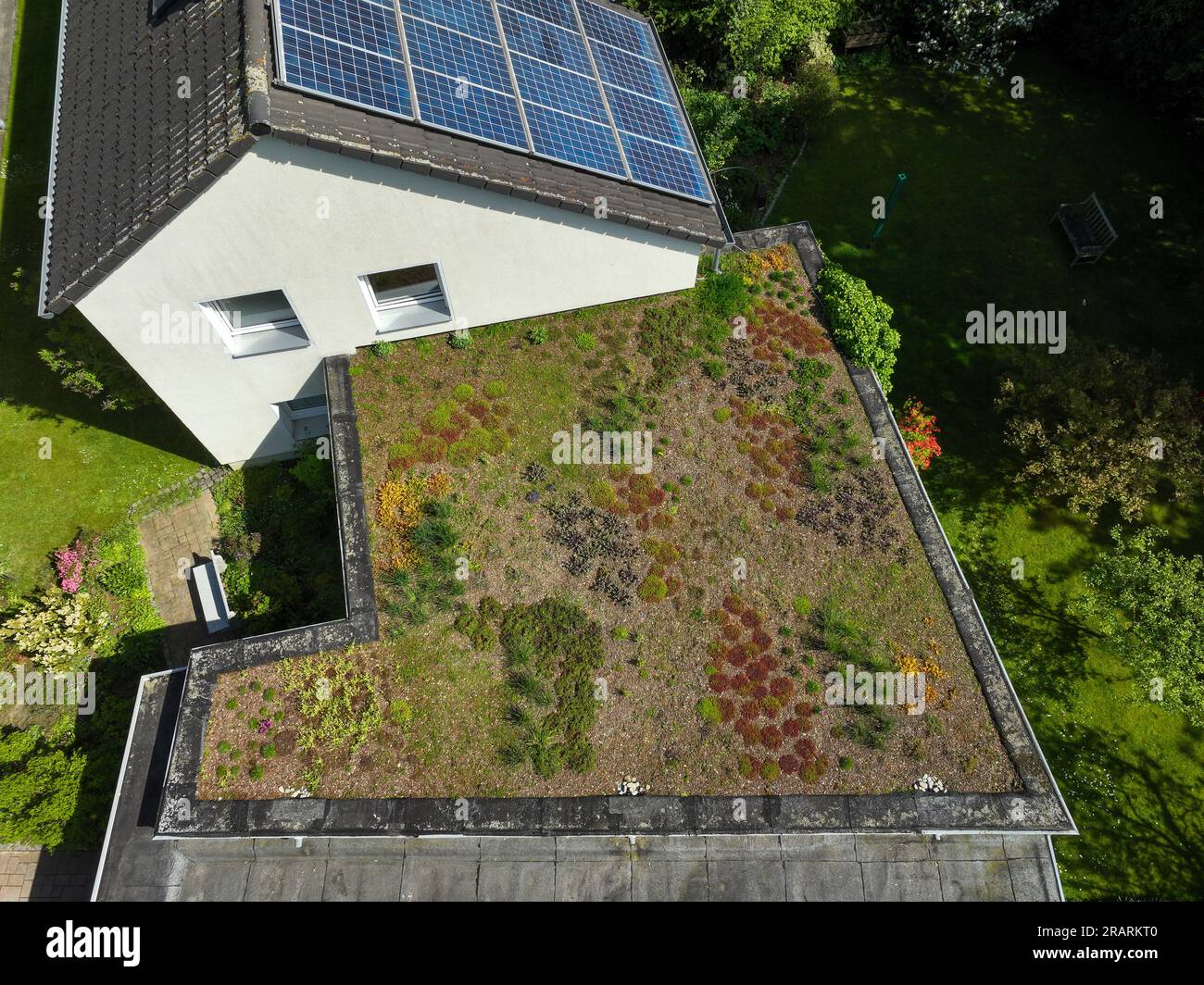Muelheim an der Ruhr, Nordrhein-Westfalen, Deutschland - Flachdach mit grüner Dachgestaltung. Weitreichende Dachgrünung mit niedrig wachsenden Pflanzen, wie z. B. Gräser Stockfoto