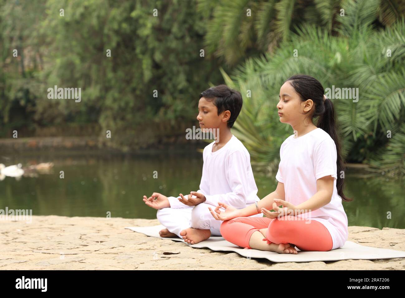 Junge Kinder, die früh am Morgen Yoga-Übungen in einem grünen öffentlichen Park machen. Wir können Wasserkörper sehen. Kinder sind gesundheitsbewusst. Internationaler Yoga-Tag. Stockfoto