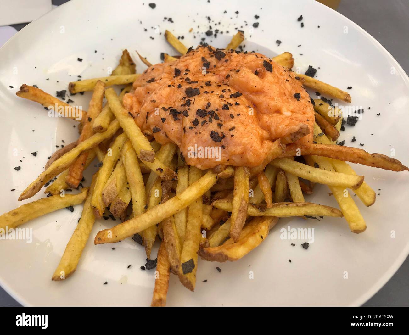 Pommes frites in Streifen mit Knoblauch und Petersilie-brava-Sauce auf weißem Keramikteller Stockfoto